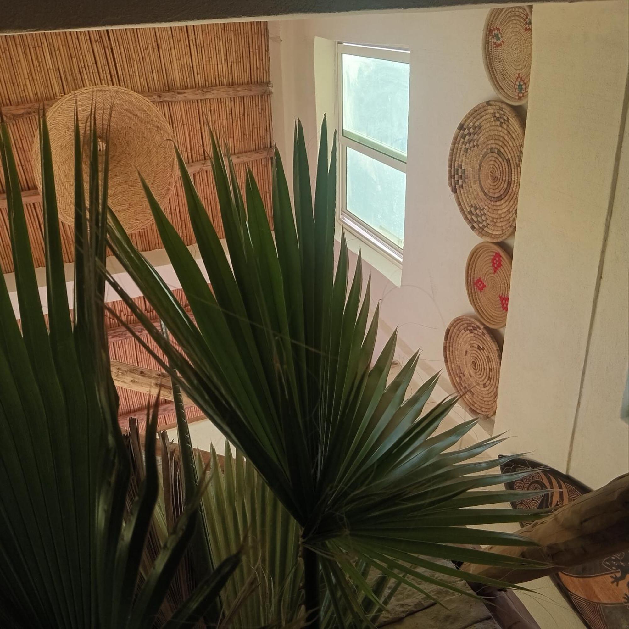 Moroccan Boho Surf House Агадир Экстерьер фото
